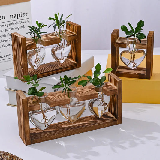 Heart-Shaped Hydroponic Glass Vase with Wooden Stand