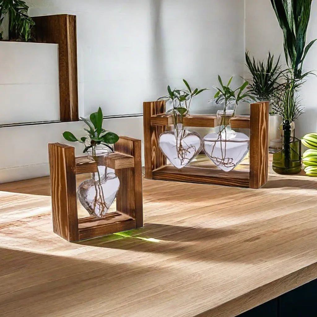 Heart-Shaped Hydroponic Glass Vase with Wooden Stand